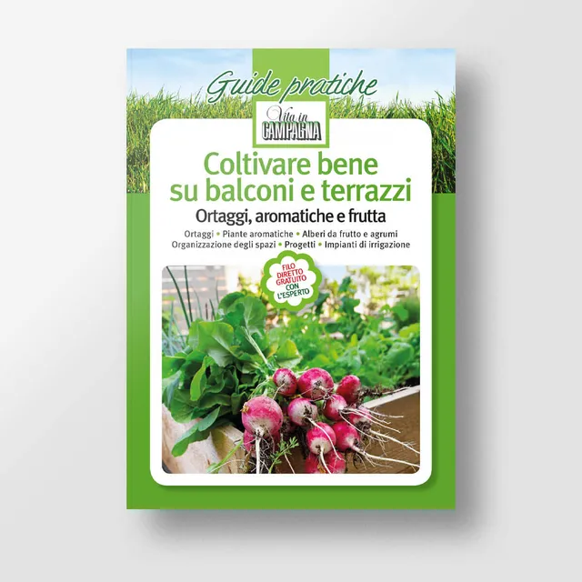 Mad Giardinaggio Coltivare bene su balconi e terrazzi guida vaso