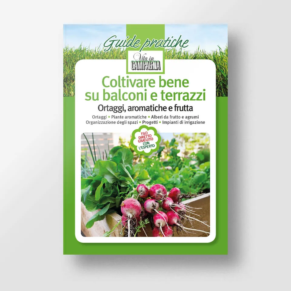 Mad Giardinaggio Coltivare bene su balconi e terrazzi guida vaso