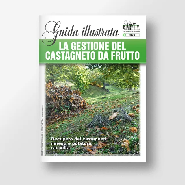 MAD Frutticoltura La gestione del castagneto da frutto libro numero singolo