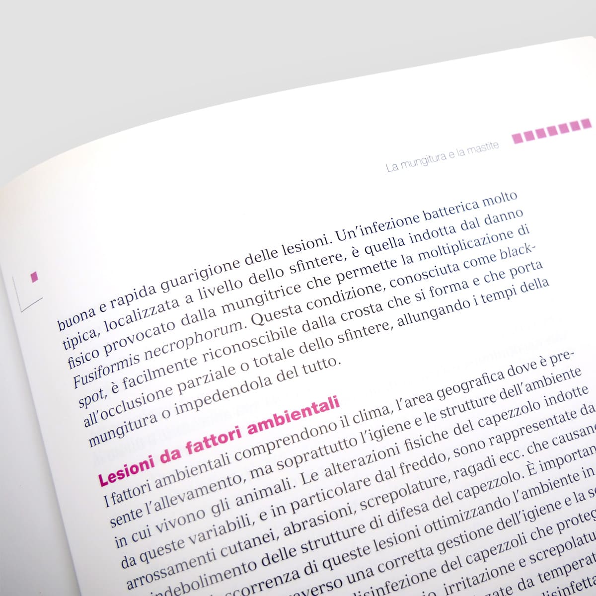 Mad Allevamenti Bovine da latte libro sistemi mungitura