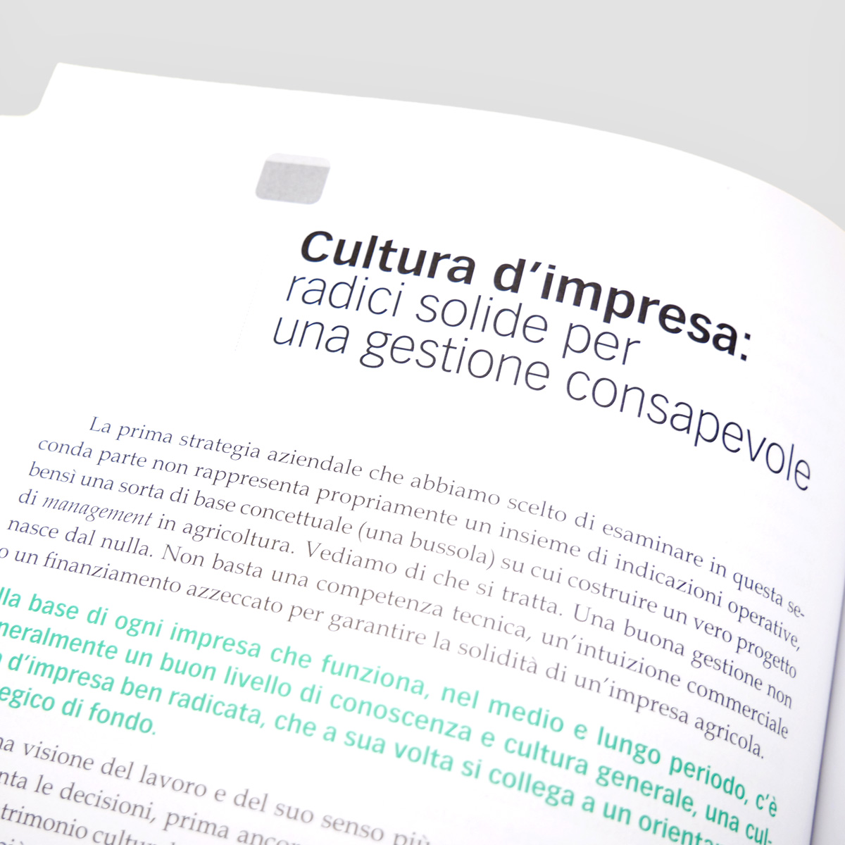 Mad Economia Fare reddito in agricoltura libro impresa agricola