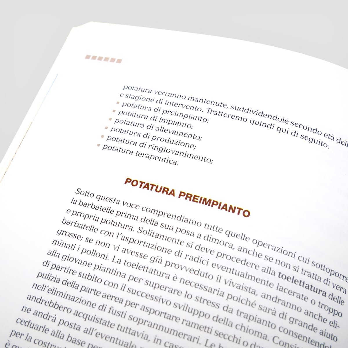 Mad Frutticoltura Coltivare il nocciolo libro corileto da reddito