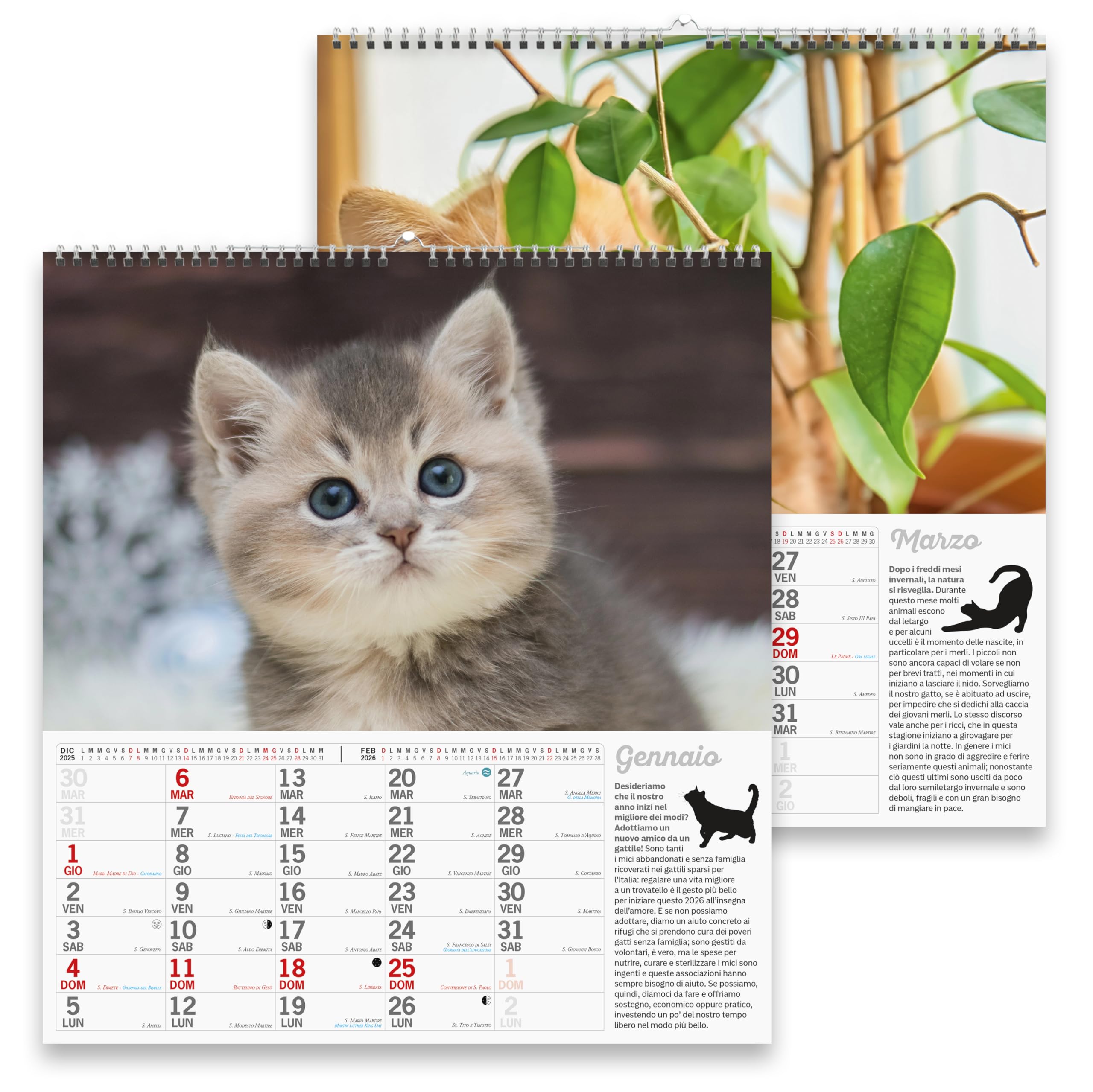 Sprea Gatti Meravigliosi Magnum 2026 calendario parete