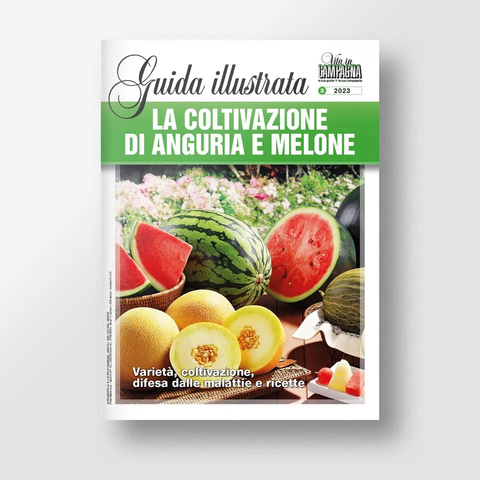 Mad Guide Illustrate La coltivazione di anguria e melone guida