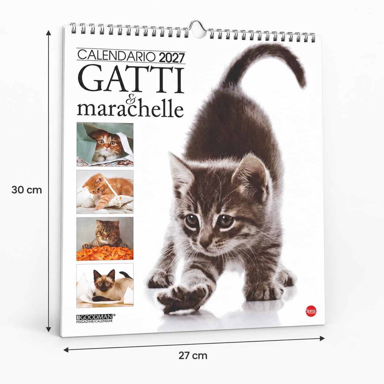 Sprea Gatti Marachelle 2027 calendario da parete 28x30